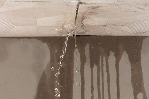 Professional Water Extraction technician working in North Kingsville, OH